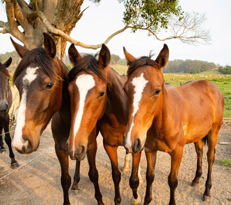 Geelong Farm & Pet - Bell Park, VIC