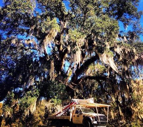 Bayou Tree Service Inc. - Baton Rouge, LA
