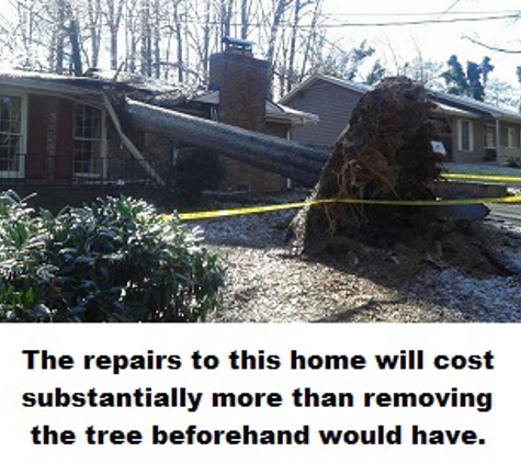 All Pro Tree Service - Marietta, GA