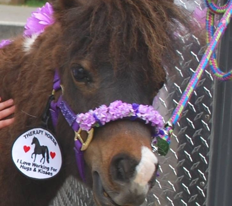 Animal Medical Center - Emmett, ID