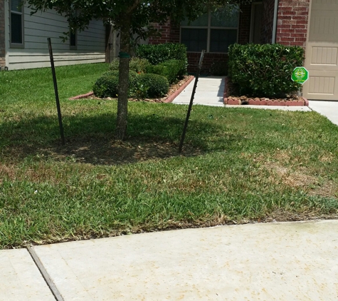 M&M Landscaping of Pearland - Houston, TX. After