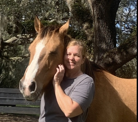 Sunset Riding STABLES....ADULT HORSE  BOARDING - Spring Hill, FL