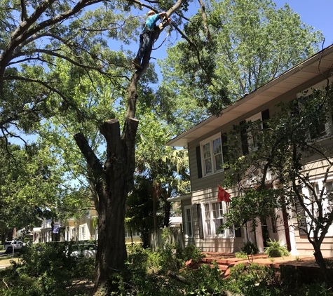 Cash’s Cuts Tree Service LLC - Tampa, FL