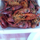 Cajun Crawfish #1