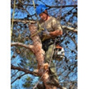 McKee Tree Service - Arborists