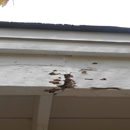 AmeriSpec - Real Estate Inspection Service