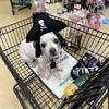 Pet Supplies Plus gallery