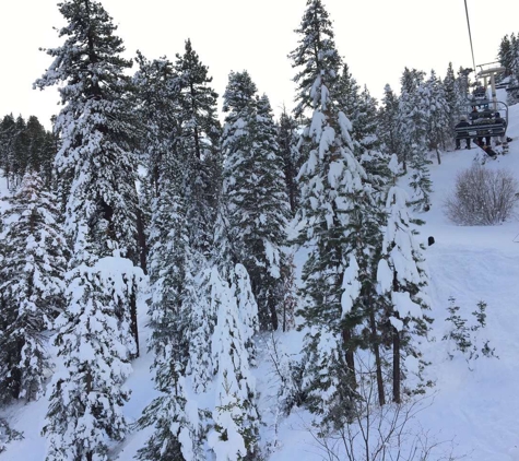 Bear Mountain Golf Course - Big Bear Lake, CA