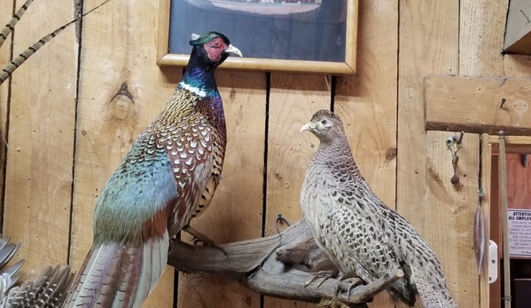 Verns Taxidermy - Algonquin, IL