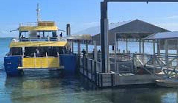 Stradbroke Flyer Gold Cats - Cleveland, QLD