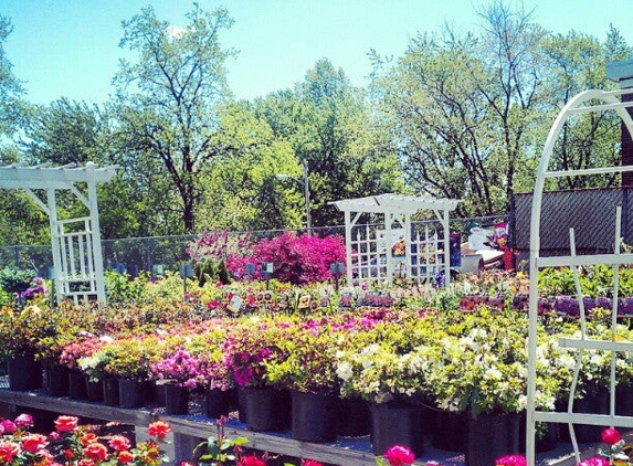 Gale's Garden Center - Maple Heights, OH