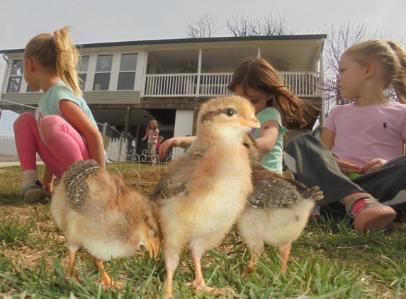Miss Amy's Child Care - Abingdon, VA. Chicks in the Mix - Miss Amy's LLC