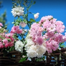 Anne's Flowers & Gifts - Flowers, Plants & Trees-Silk, Dried, Etc.-Retail