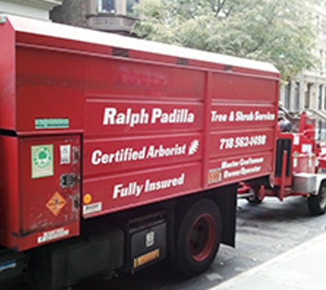 Ralph Padilla Certified Arborist - Bronx, NY