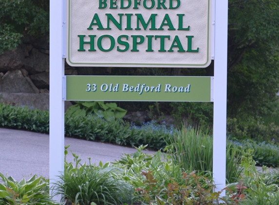 Bedford Animal Hospital - Bedford, NH