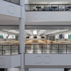 Apple Willow Grove Park gallery