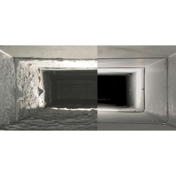 Gallery Image Number 7