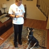 Peaceful Pets Dog Obedience Training, LLC gallery
