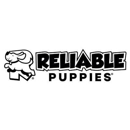 Reliable Puppies - Pet Breeders