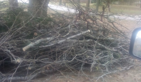 Kellee Harpers Tree Service - Gallatin, TN. Less Mess, Less Stress!