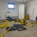 Affordable Mold Removal & Remodeling - Garbage Collection