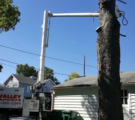 Ohio Valley Tree Experts LLC - Dayton, OH