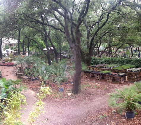 Barton Springs Nursery - West Lake Hills, TX. Huge selection of plant, trees, flowers and shrubs.