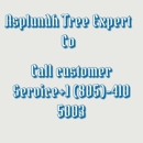 Asplundh Tree Expert Co - Tree Service