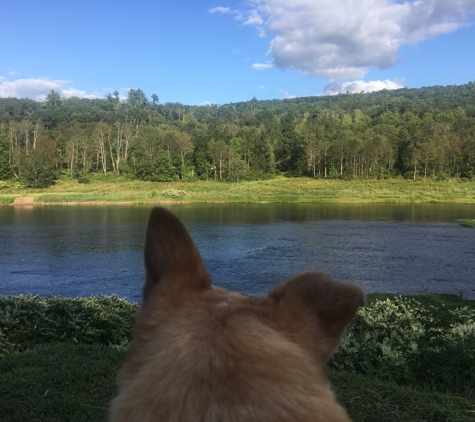 Upper Delaware Scenic & Recreational River - Beach Lake, PA