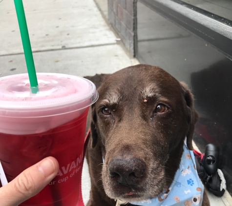 Starbucks Coffee - New York, NY