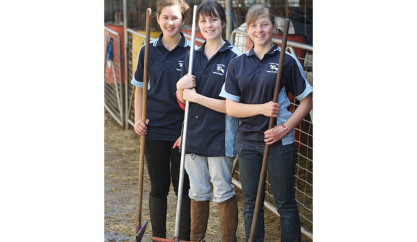 Forest Park Riding & Equitation School - Stromlo, ACT
