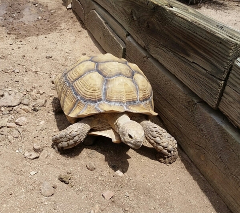 Heritage Park Zoological Sanctuary - Prescott, AZ