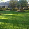 Little Juniata Lawn Care, LLC gallery