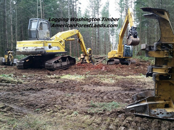 American Forest Lands Washington Logging Company. Logging Company Eatonville, Rainier, Graham, Maple Valley