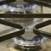 Gallery Image Number 8
