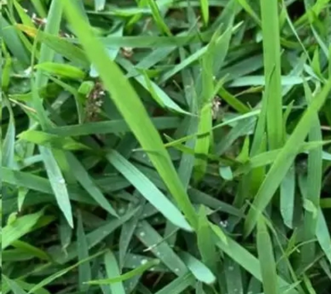 Lockyer Lawn Supplies - Spring Creek, QLD
