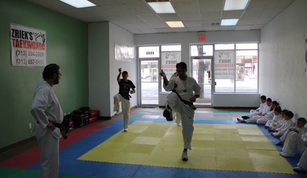 Zrieks Taekwondo School - Dearborn, MI