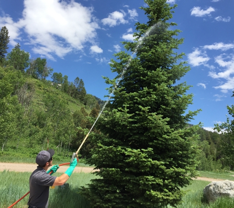 Apex Environmental - Bedford, WY