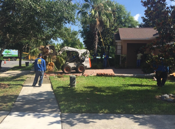 Jeffenson's Tree Service & Landscape - Ocoee, FL