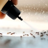 P & S Pest Control gallery