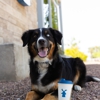 Dutch Bros Coffee gallery