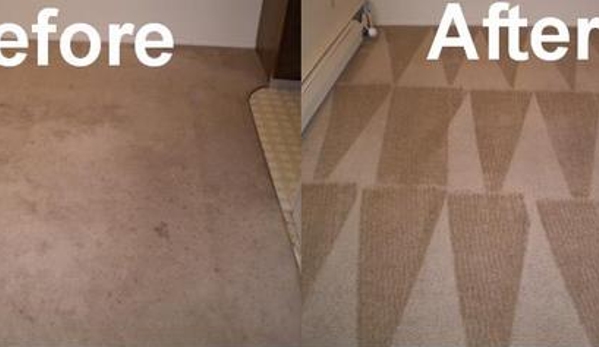 Layton Professional Carpet Cleaners - Layton, UT