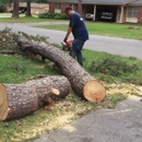 Peach State Tree Service - Tree Service