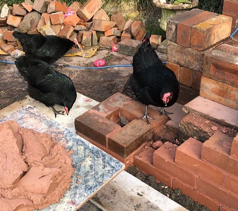 Robin Capewell Bricklaying