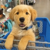 Petsense by Tractor Supply gallery