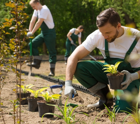 Golemons Tree and Lawncare - Bloomfield, IN