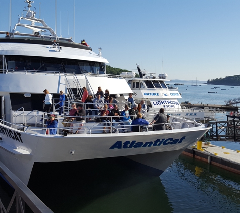 Bar Harbor Whale Watch Co - Bar Harbor, ME