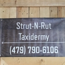 Strut-N-Rut Taxidermy - Taxidermists