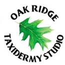 Oak Ridge Taxidermy - Plumbing-Drain & Sewer Cleaning
