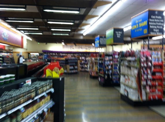 Food Lion - Ashland, VA